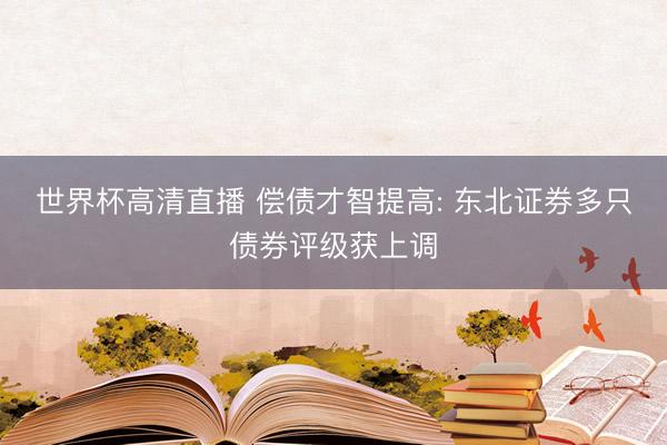 世界杯高清直播 偿债才智提高: 东北证券多只债券评级获上调