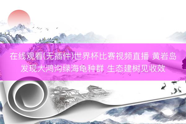 在线观看(无插件)世界杯比赛视频直播 黄岩岛发现大鸿沟绿海龟种群 生态建树见收效