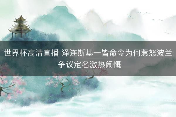 世界杯高清直播 泽连斯基一皆命令为何惹怒波兰 争议定名激热闹慨