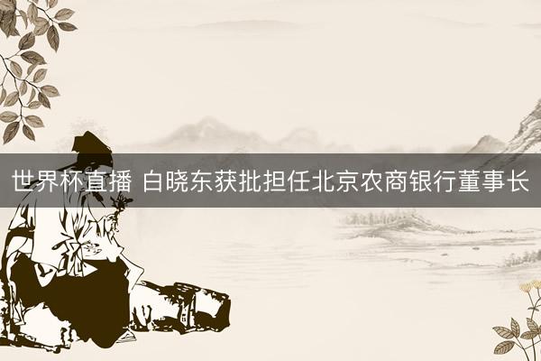 世界杯直播 白晓东获批担任北京农商银行董事长